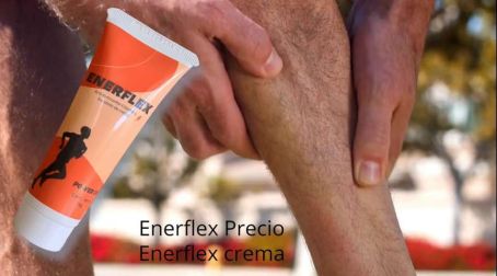 Precio De Enerflex